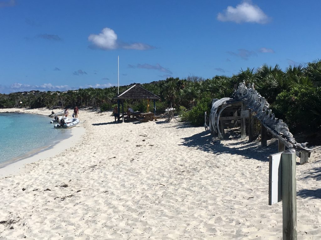 Snorkeling & Hiking the Beautiful Exumas Low Flite
